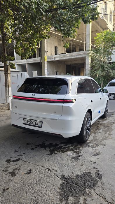 Li 6 max 2024. пробег 6500км