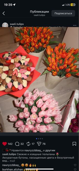 Луковица тюльпан