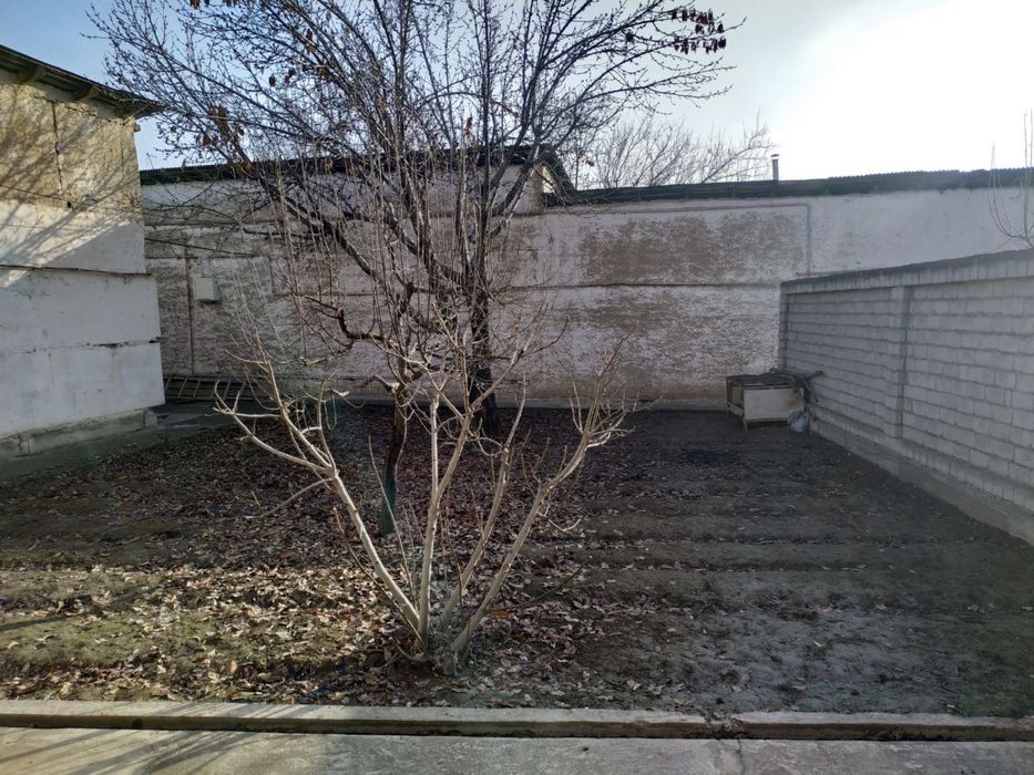 Yunusobod 19 kv roparasida Tutzor mahallada. 1-liniya!!!