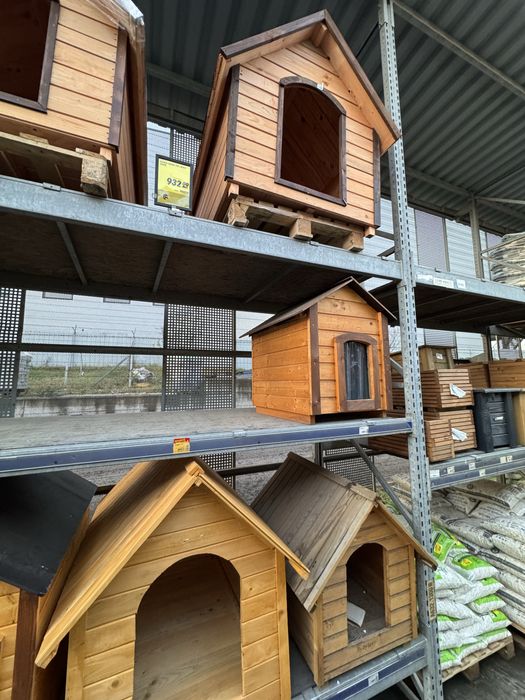 Cusca caine lemn izolata