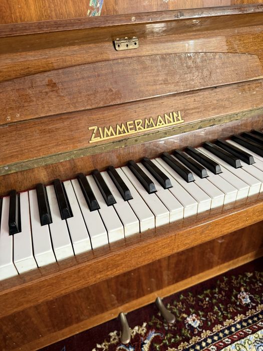 pionina kelishilgan narxda beraman