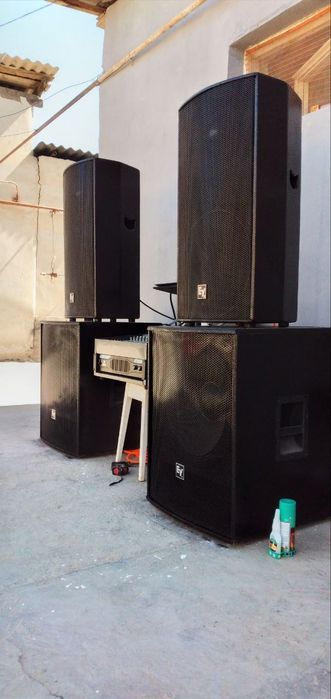 Туй колонка Аппарат