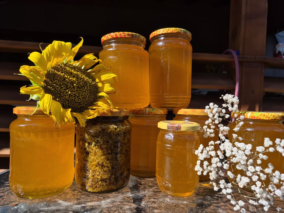 Miere de floarea soarelui