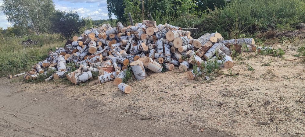 Продам дрова берёзовые швырок
