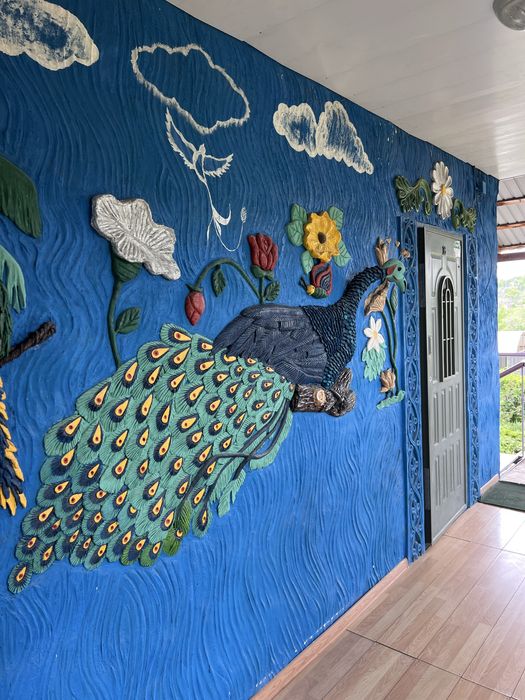 Продается дача Турарские дачи