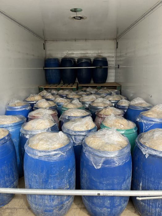 Varza murata romanească cu frunză subtire