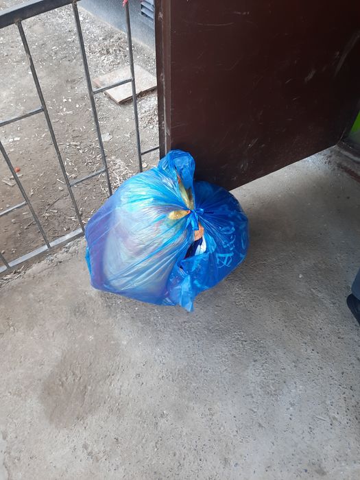 Детская одежда бесплатно