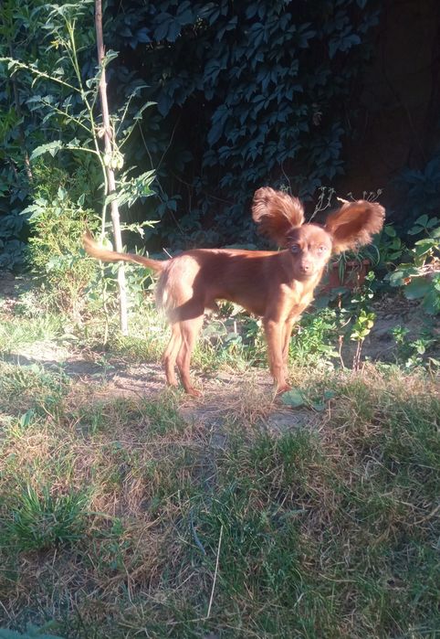 Красавец мужчина .