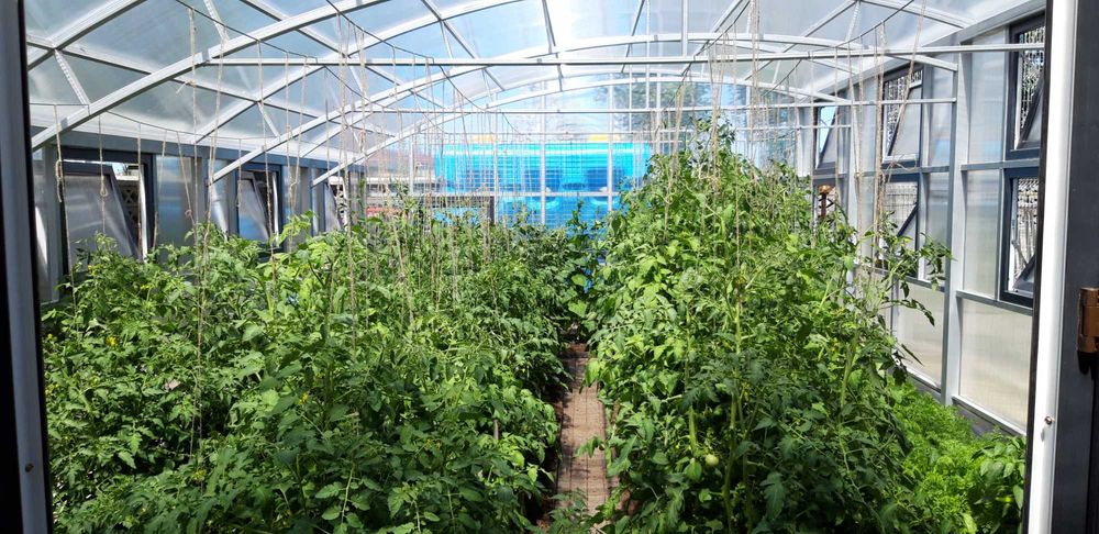 ТЕПЛИЦЫ УРОЖАЙ металлические и оцинкованные