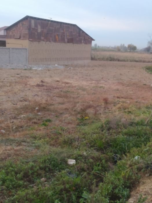 4,5 soʻtik er sotiladi