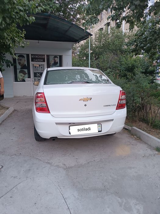 Cobalt 2020 full pazitsya