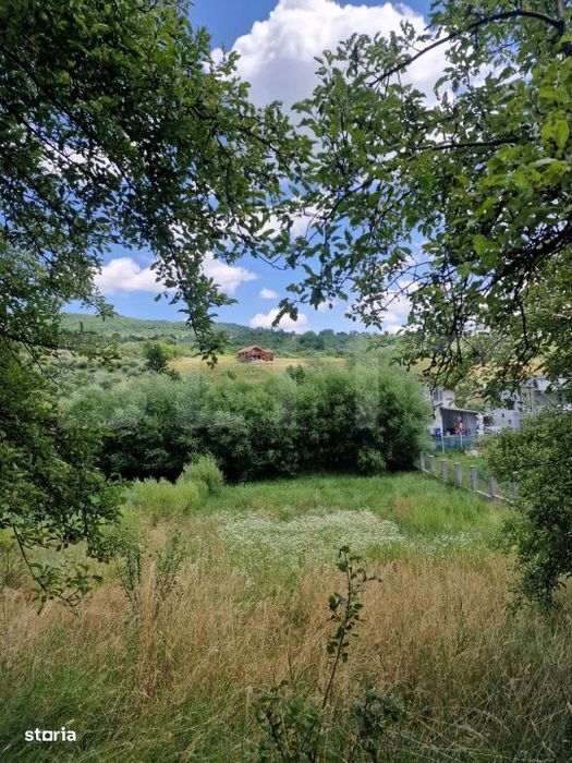 Teren extravilan, 774 mp, drumul Tarpiului