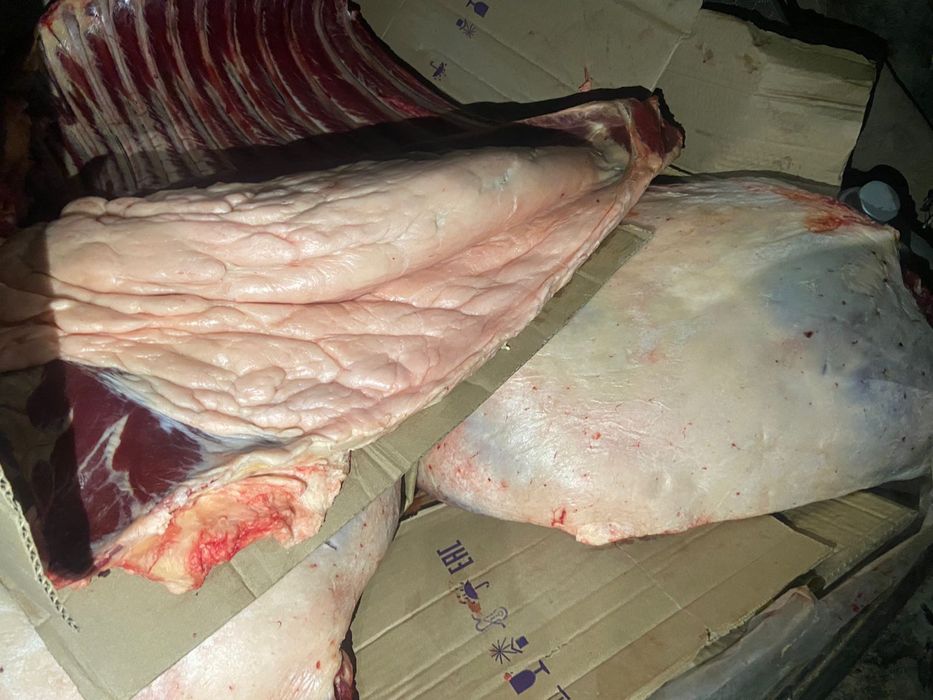 Жылкы еті,согым,соғым өте күшті ет,жайлымда жүрген мал