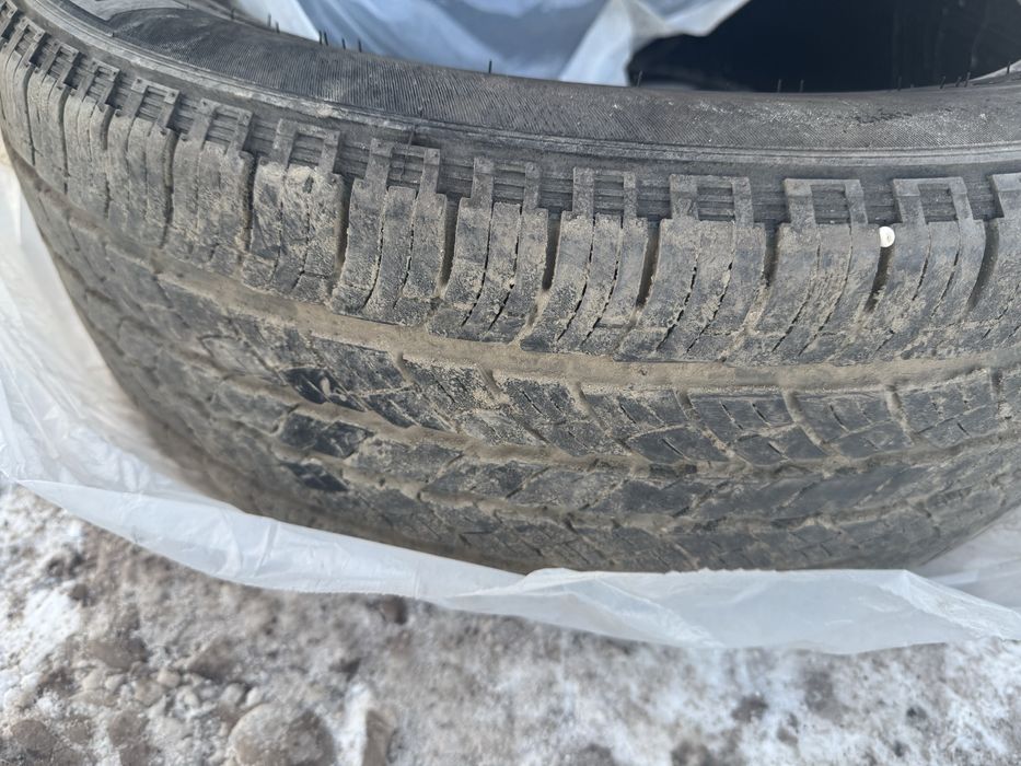 Продам летние шина R19