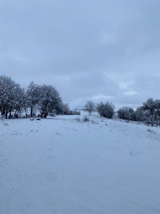 Teren intravilan de vanzare 3200 mp