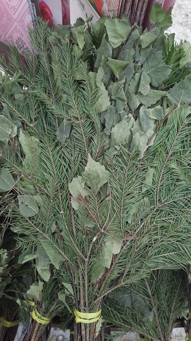 Баный веник пихта, берёза,  пихта береза