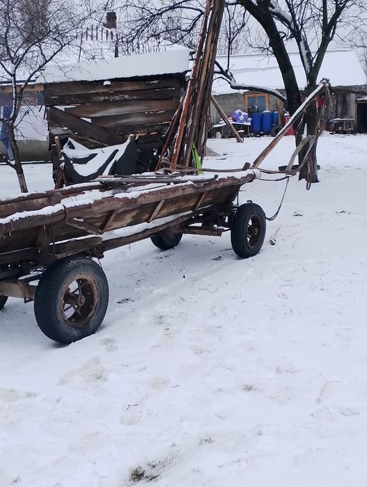 Mînză iapa și căruță