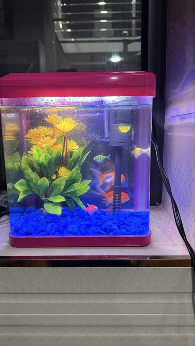 akvarim turishi sotiladi