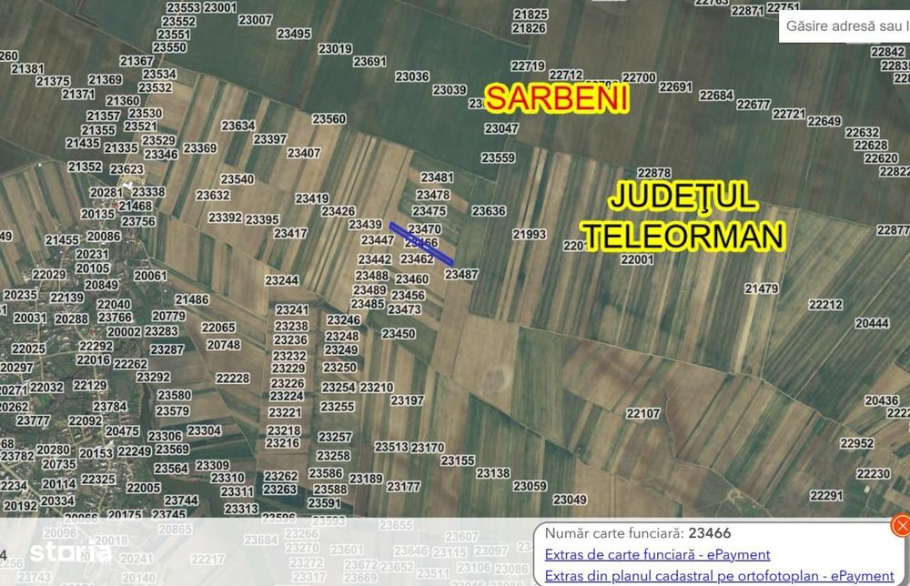 Vanzare teren extravilan Sarbeni jud Teleorman
