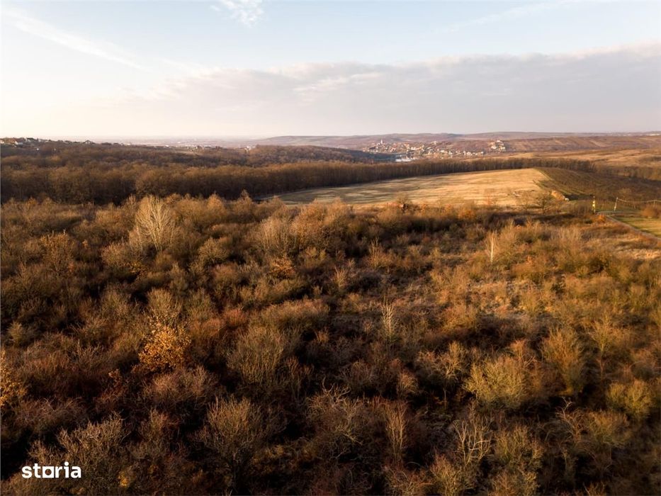 Reco Teren intravilan in Saldabagiu de munte 4333MP