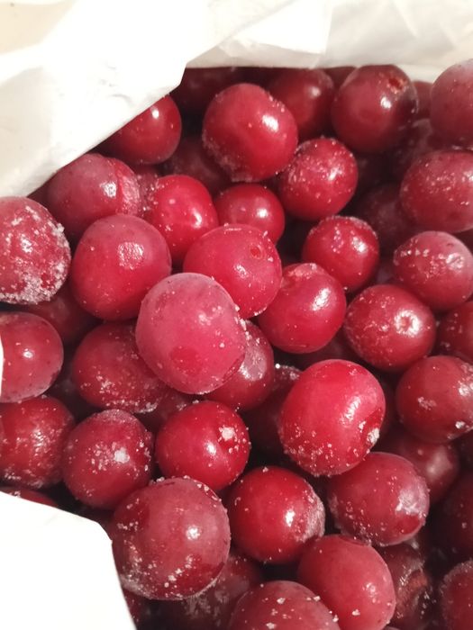 Продаю вишню домашнюю