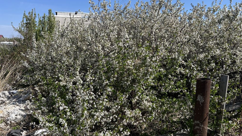 Продам дачу по красноярской трассе