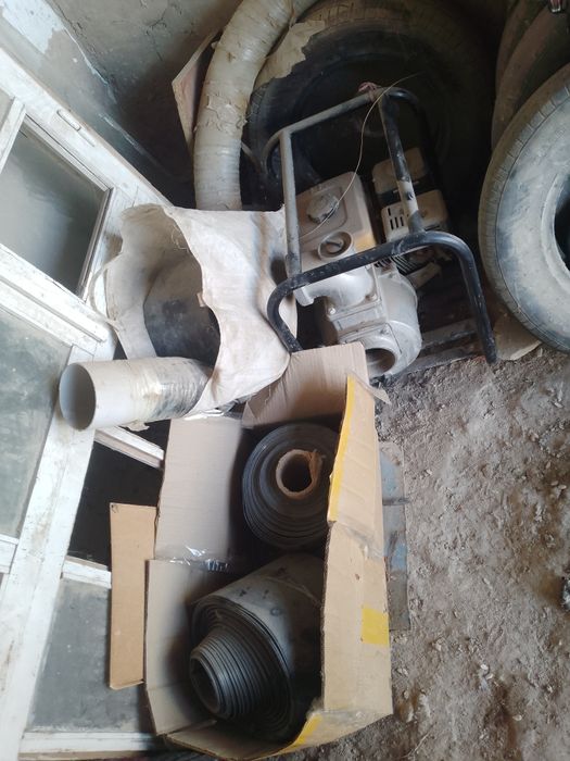 Benzanasoʻs 100 lik pashti yangi