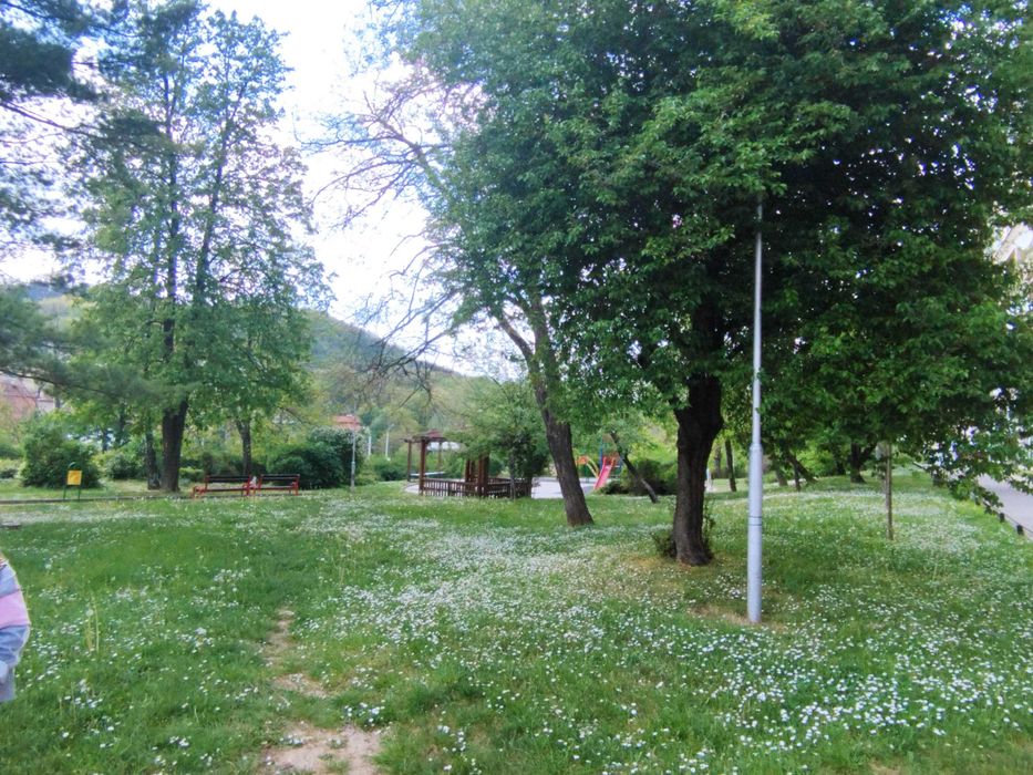 Гарсониера под наем