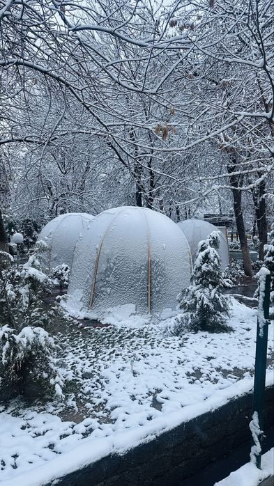 Tayyor kapsulalar sotiladi.