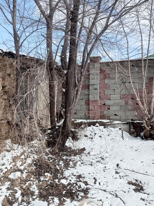 Отдам даром дрова