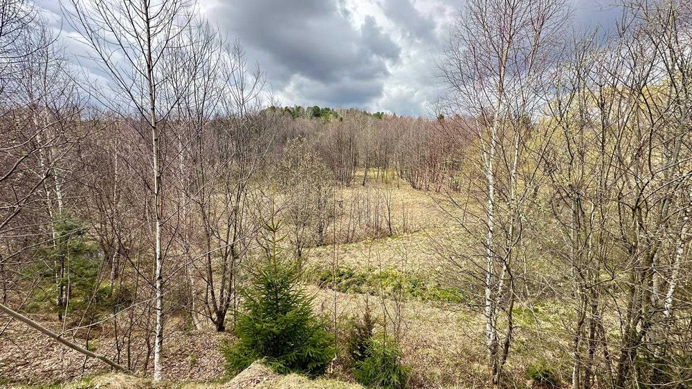 Proprietar vand teren in Brebu Nou 2877 mp