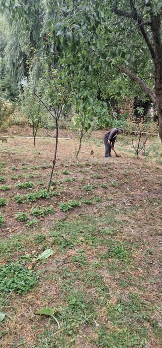 Чимганда дача сотилади