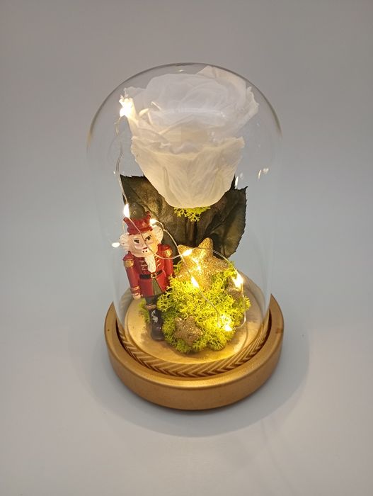 Trandafiri criogenati in cupola de sticla cu leduri cadoul perfect