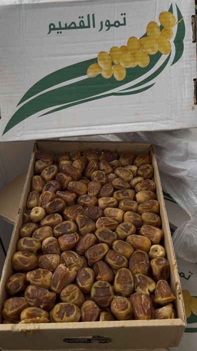 финики суккари в астане