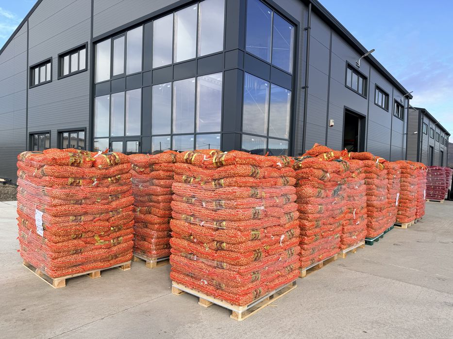 Vand arpagic Olanda, Stuttgarter, Rosu, 14/17