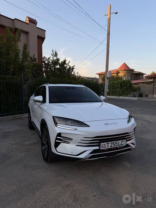 BYD 2025 yil eng fulli
