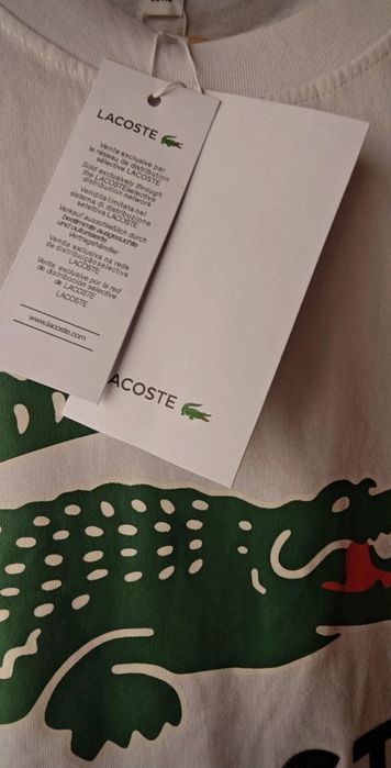 Lacoste       XL