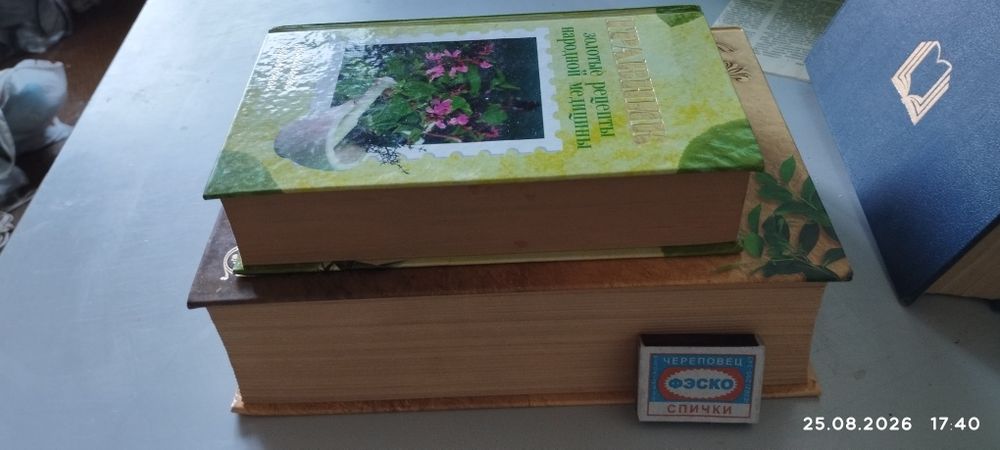 Большая энциклопедия народной медицины