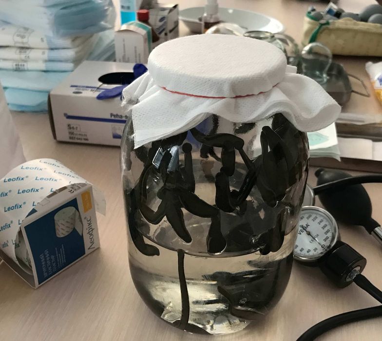 Zuluk sotiladi, Продаю пиявки