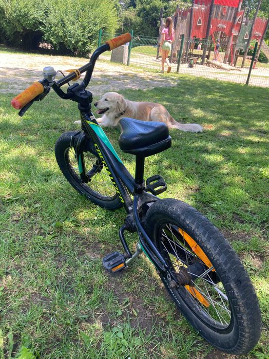 Детско колело 16" Specialized RipRock