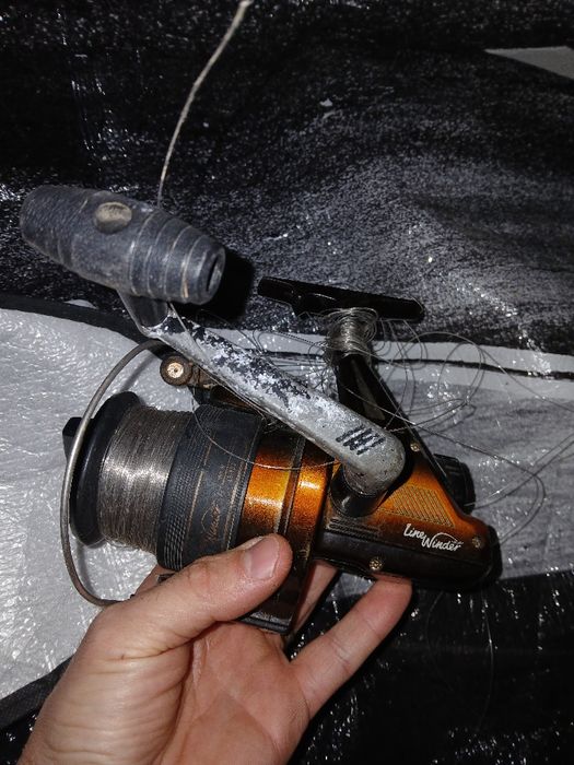 Molineta  pentru pescuit