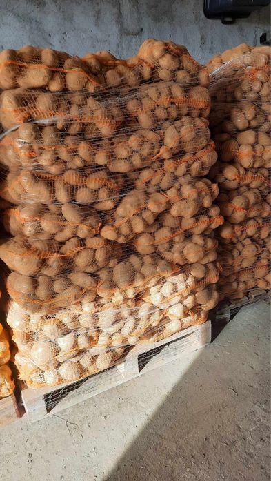 vand cartofi de polonia