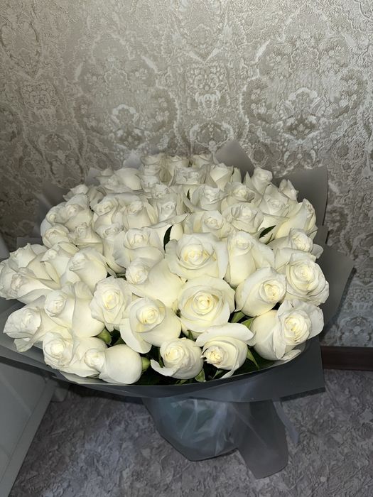 Цветы 51 роза свежие