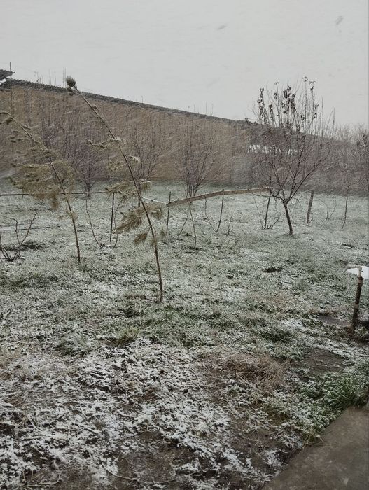 Asalomalekum zudlik bilan yer sotladi 5 sotx Yangi yol tumani Lennizmd