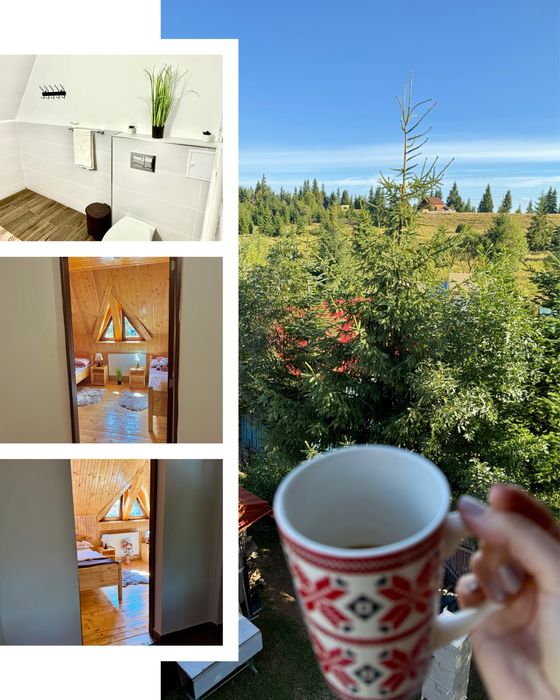 Cabana de inchiriat, Belis