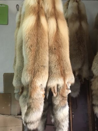 Натуральный мех лисы тулки