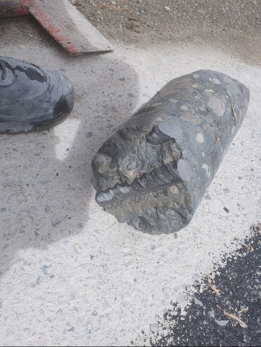 Servicii profesionale de carotare a betonului.