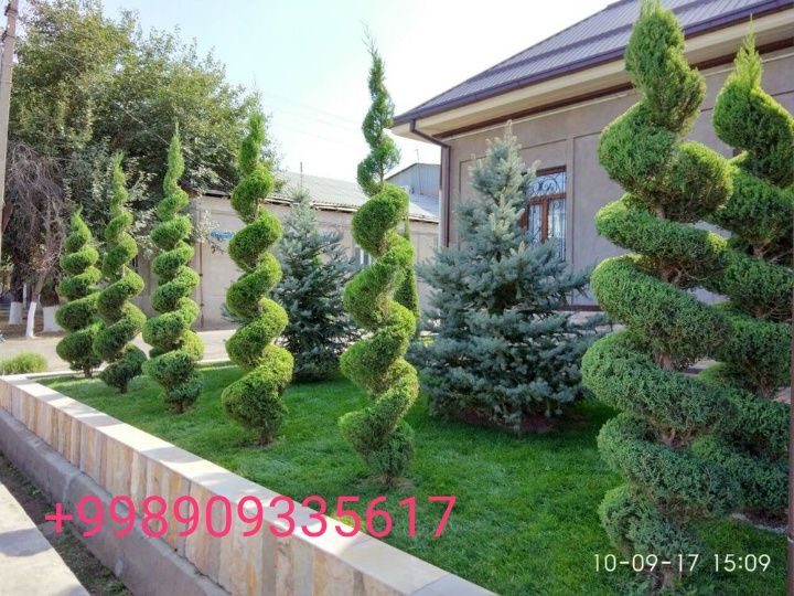 Услуги Садовник Богбон хизмати.
