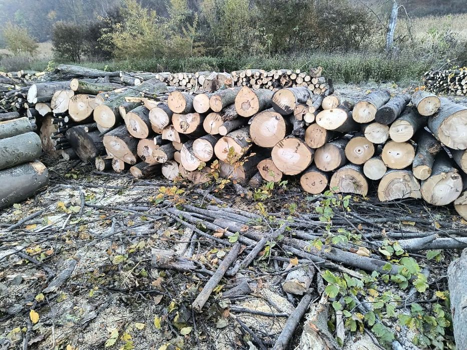 Vand lemne de foc esenta tare carpen si stejar