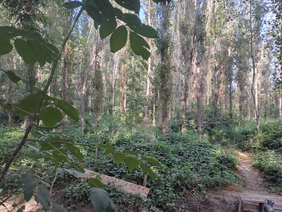 Земля дачный поселок